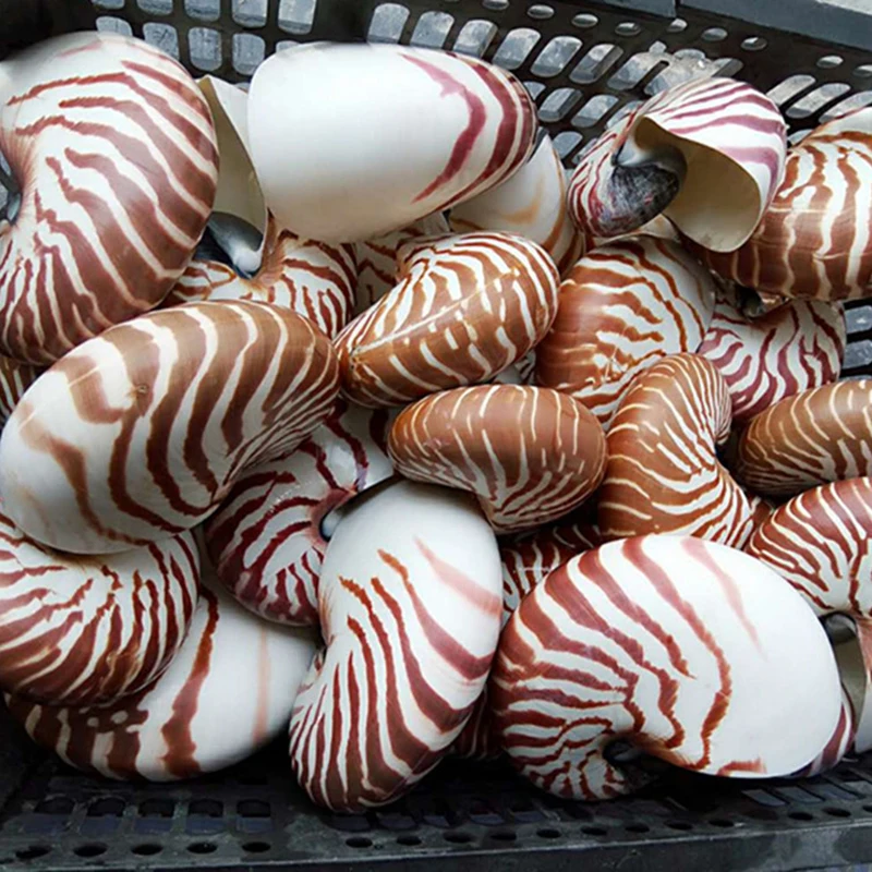 12126843687_1154776257