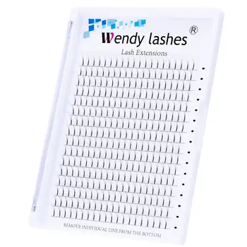 

Wendy Lashes Premade Volume Fans Individual Lashes Russian Volume Eyelash Extension Pre made Faux Mink Lash Extension Supplies