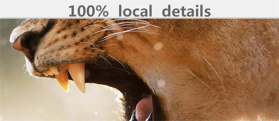 360截图20170722210441903