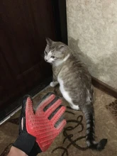 Combs Hair-Gloves Cats-Brush-Comb Cleaning-Supplies Dogs Silicone PROSTORMER Bath Deshedding