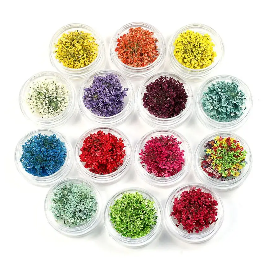 Прессованный высушенный цветок Ammi Majus 100 шт. для нейл арта эпоксидная смола