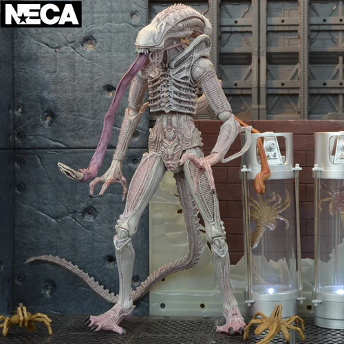 NECA специальная форма войны серии ПВХ пластиковый материал железный солдат крови AVP контракт специальной формы модель может обрабатывать - Цвет: 19