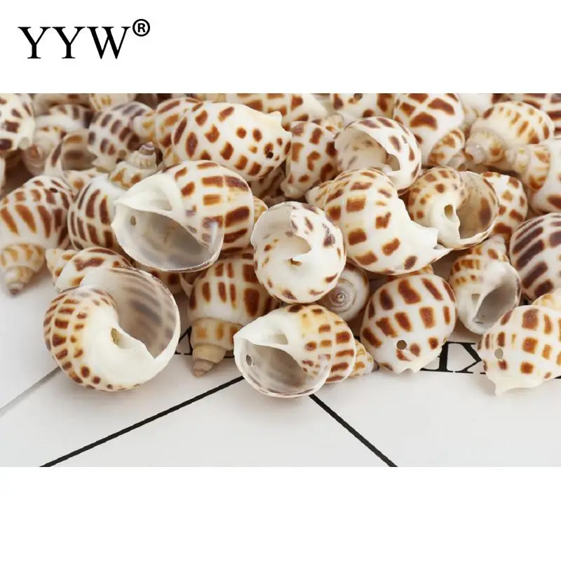 90 шт./пакет морские раковины Schelpen Coquillage Conchas Shell для украшения дома Морской Декор Декоративные ракушки Вавилон морской дом