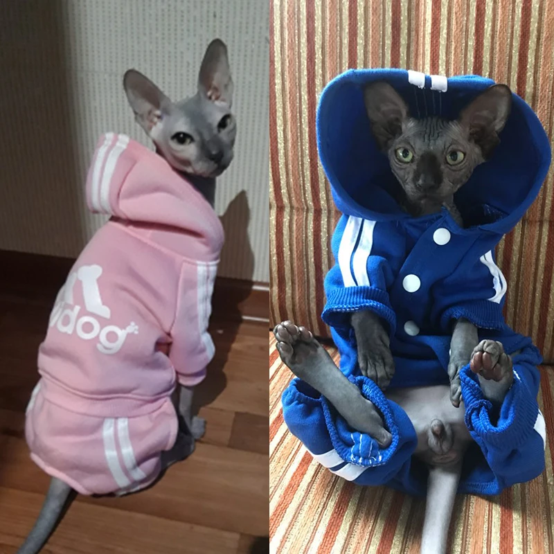 Sweat A Capuche Pour Chat Mignon Vetements Chauds D Hiver Pour Animaux De Compagnie Sphynx Katten Tenue Ropa Para Gatos Kedi Gijim Aliexpress