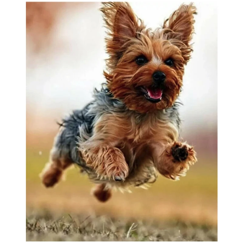 

Terrier Dog Art Portraits Mazayka Diamond Embroidery Dog 5D Diy Diamond Painting Full Square Round Drill Embroidery Kits