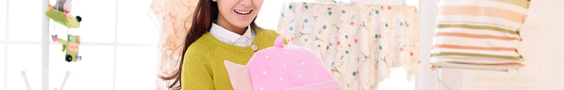 Totoro/Подушка для девочек, одеяло для рук, три в одном, wu shou, подушка двойного назначения, одеяло, подарок на день Святого Валентина, грелка для рук