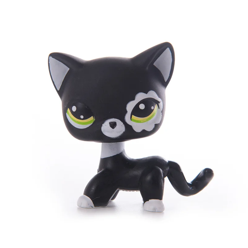 Littlest Pet Shop Collection LPS Shorthair White Black Kitty Cat 3 Accessories 