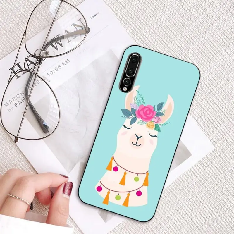 Cartoon Lama Llama Alpacas Animal