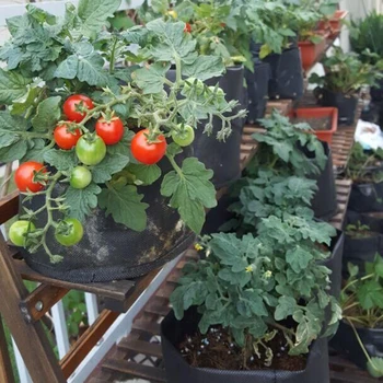 

5pcs Grow Bags with Handles Aeration Plant Pouch Root Container Non-woven Potato Grow Bags Fabric Grow Bags Garden Accessories