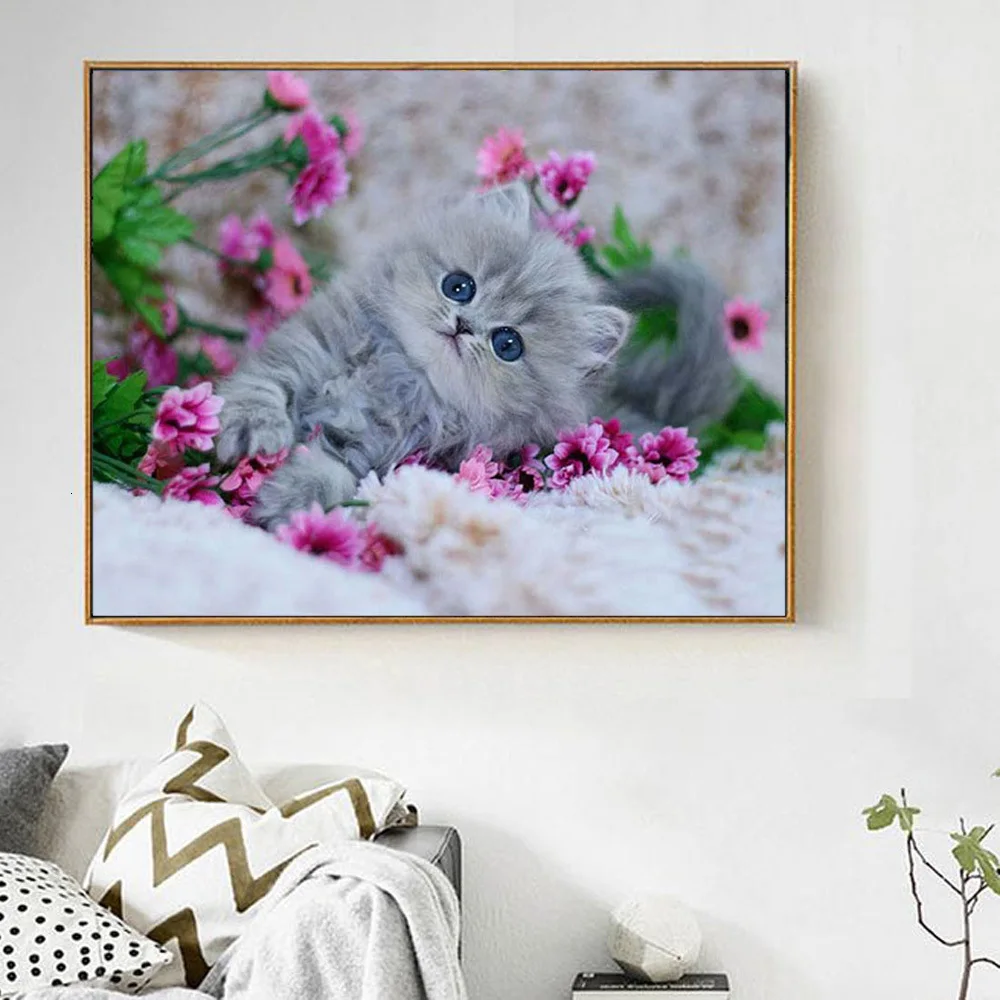 R2.jpg_.webp R2.jpg_.webp