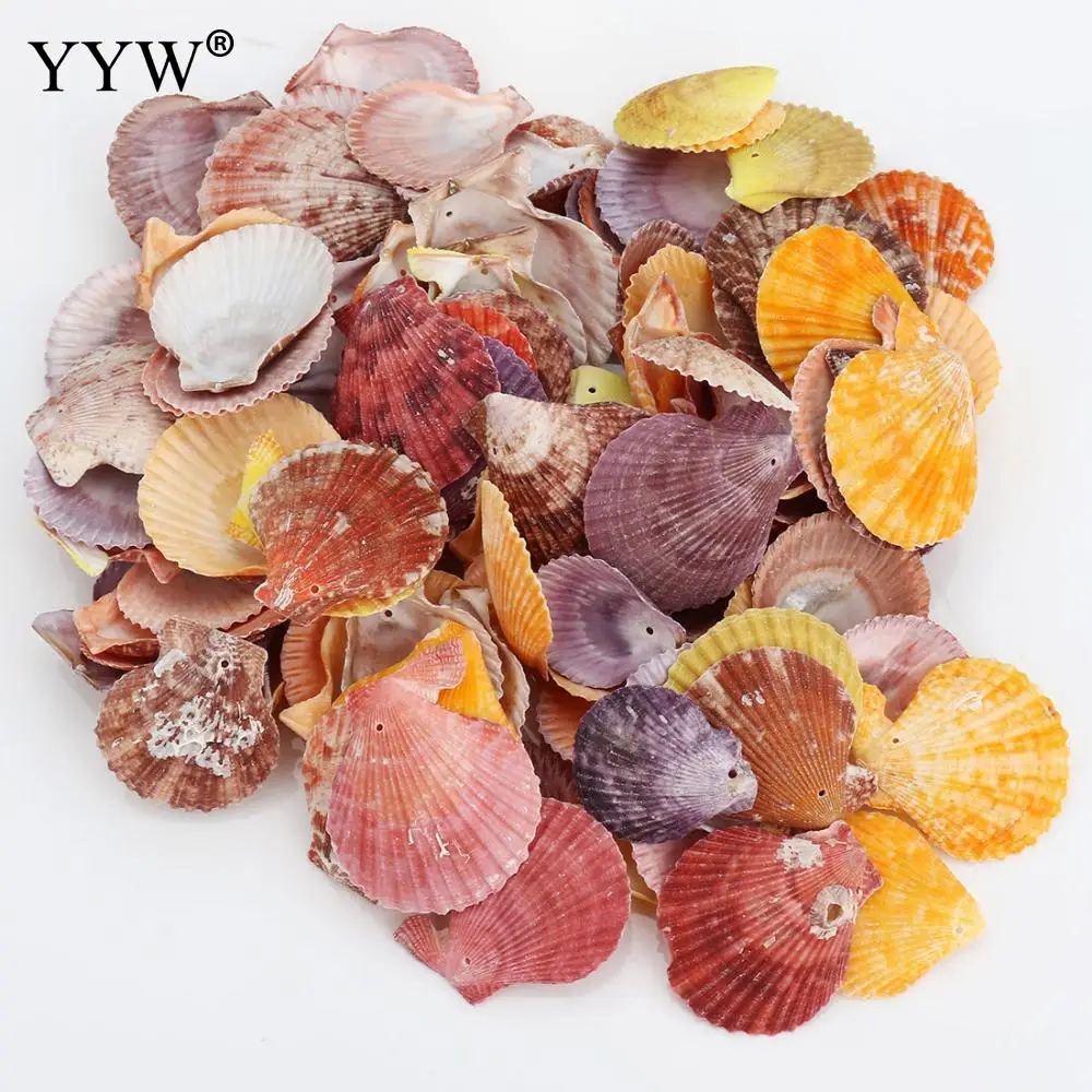 

130pc/Bag Sea Shells Mix 1.5mm Scallop Schelpen Coquillage Conchas Shell For Home Decoration Babylon Nautical Home Marine Decor