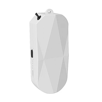 

Negative Ion Generator Smart Air Purifier Sterilizer Remove Formaldehyde UV Sterilization Disinfection Necklace