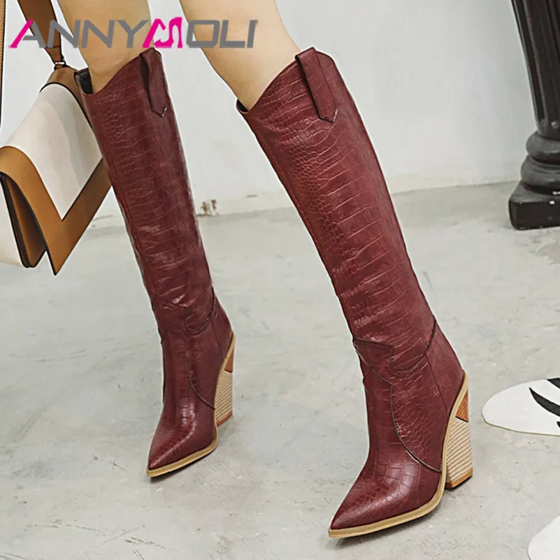 ANNYMOLI Super High Heel Western Boots Woman Thick Heel Knee High Boots