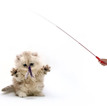 

Luxury High-quality Extendable Pet Kitten Cat Feather Teaser Wand Rod + 7PCS Colorful Natural Long Feather Cat Teaser Toy Set