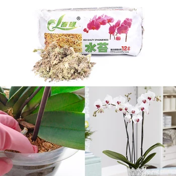 

New 12L Sphagnum Moss Garden Supplies Moisturizing Nutrition Organic Fertilizer Phalaenopsis Orchid Garden Organic Fertilizer