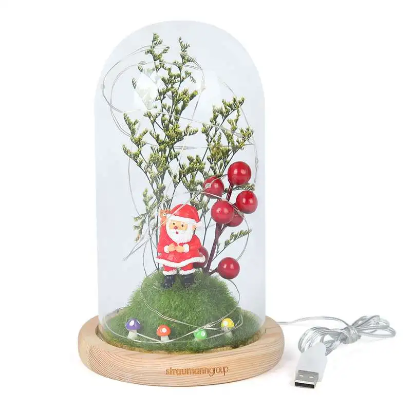 Рождественская кукла USB в стеклянном куполе на деревянной базе для рождественских подарков светодиодный лампы с розами Рождественский Санта светодиодный микро пейзаж - Цвет: LL0609A