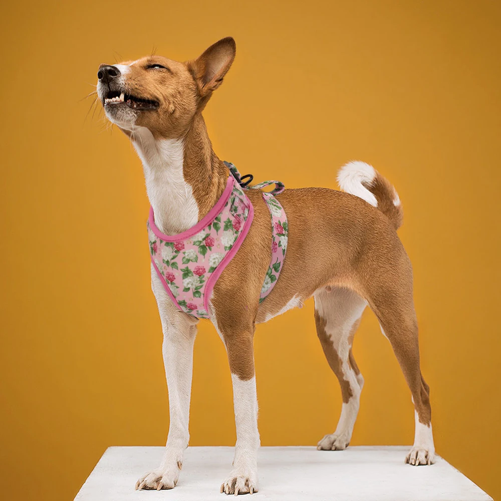 floral harness for dogs
