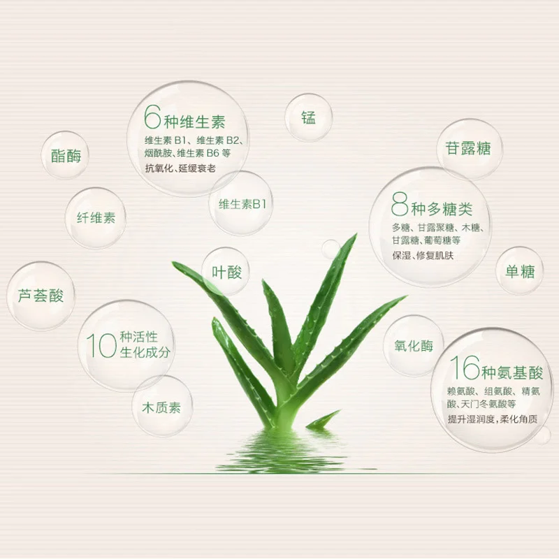 Waterproof 99% Aloe Vera Moisturizer Face Powder Smoothing Pressed Powder Breathable Makeup Concealer Brighten Foundation pressed powder foundation,concealer powder,face powder,compact powder