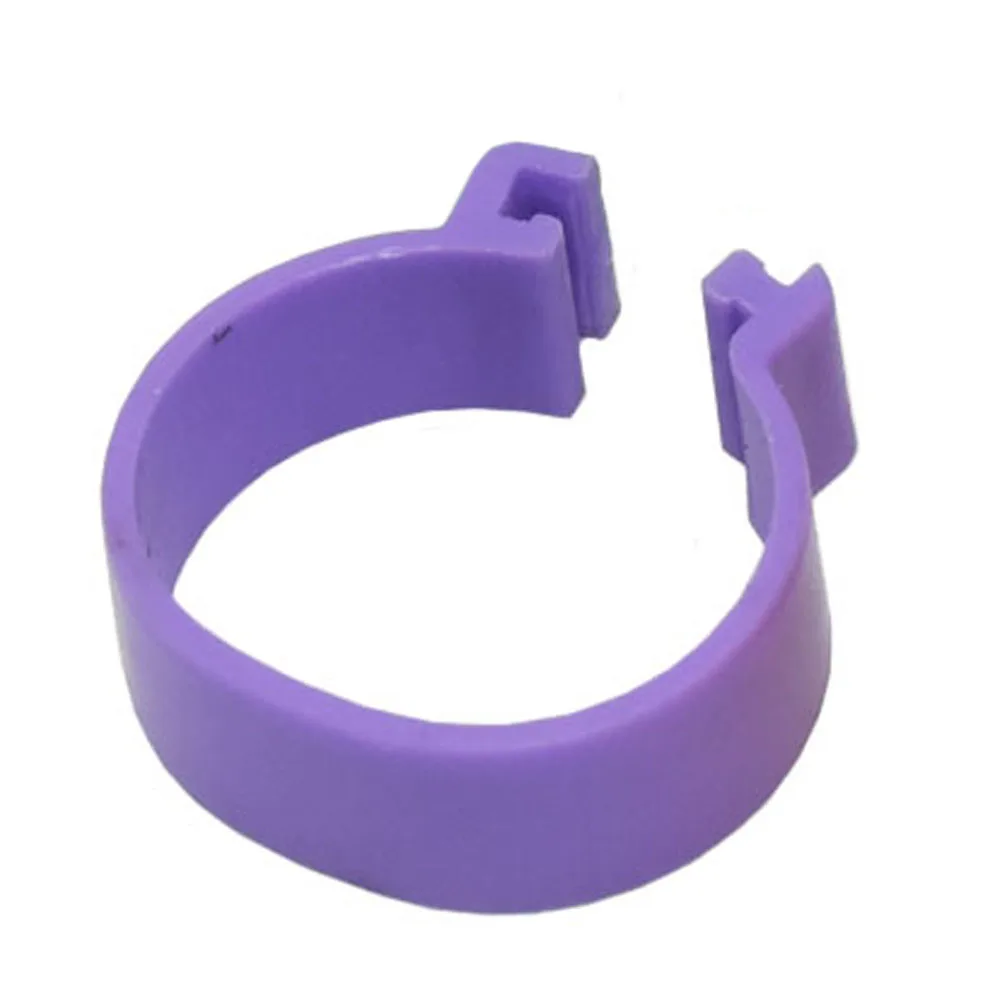 DSC_5462 - 副本 (7) - 副本