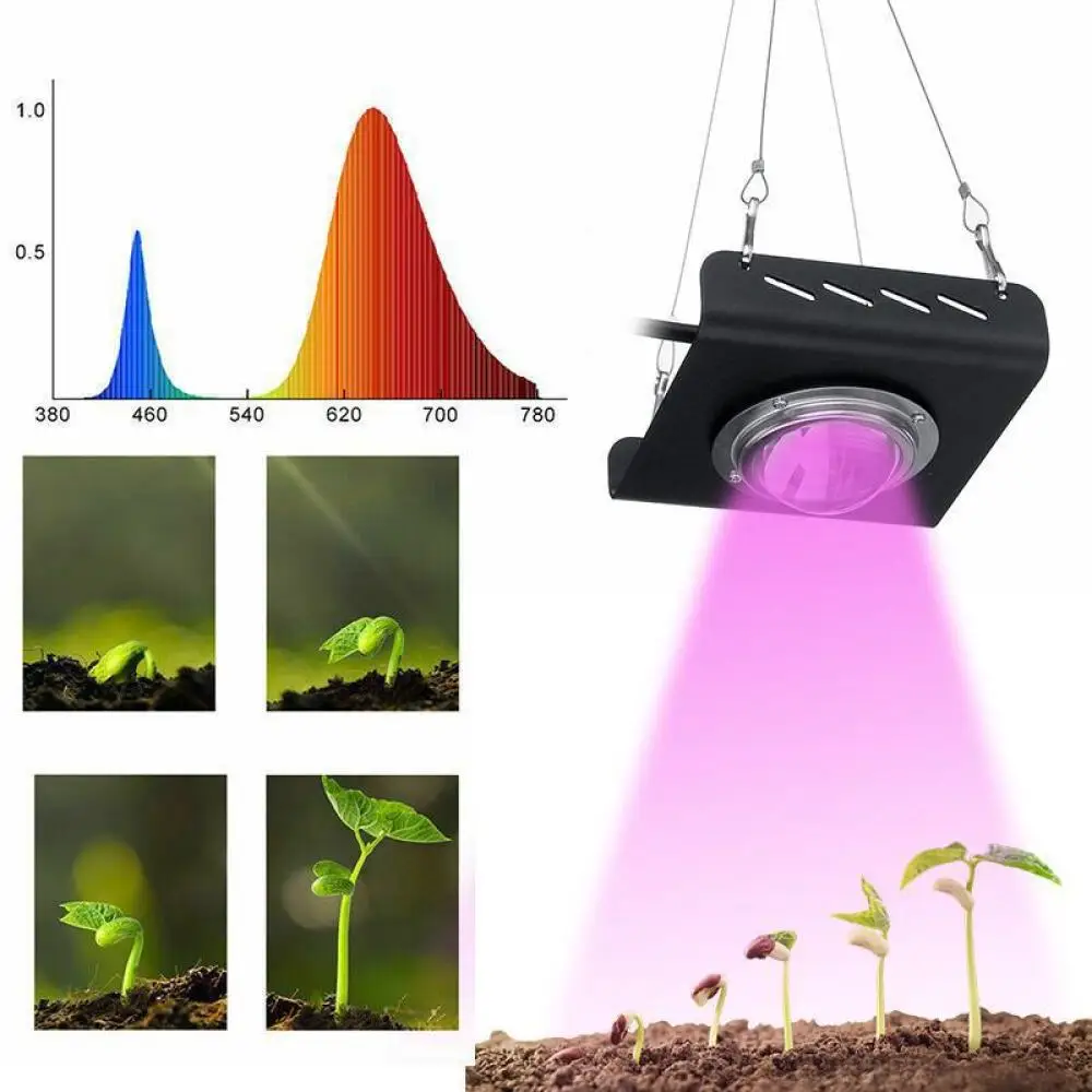 

Led plant light COB full spectrum 50W plant light grow light vegetable succulent flower fill light with plug AC220V/110V/230V