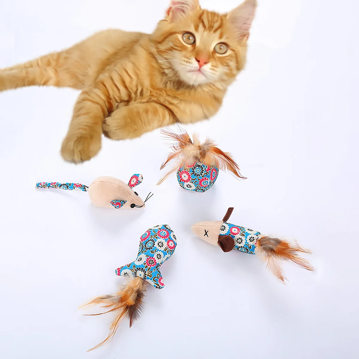 unique cat toys