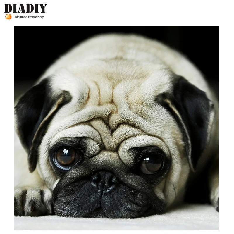 

DIADIY Full Square Round Diamond 5D DIY Diamond Painting Lovely Pug Dog Diamond Embroidery Cross Stitch Rhinestone Mosaic Home