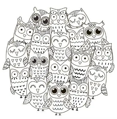 RD OWL