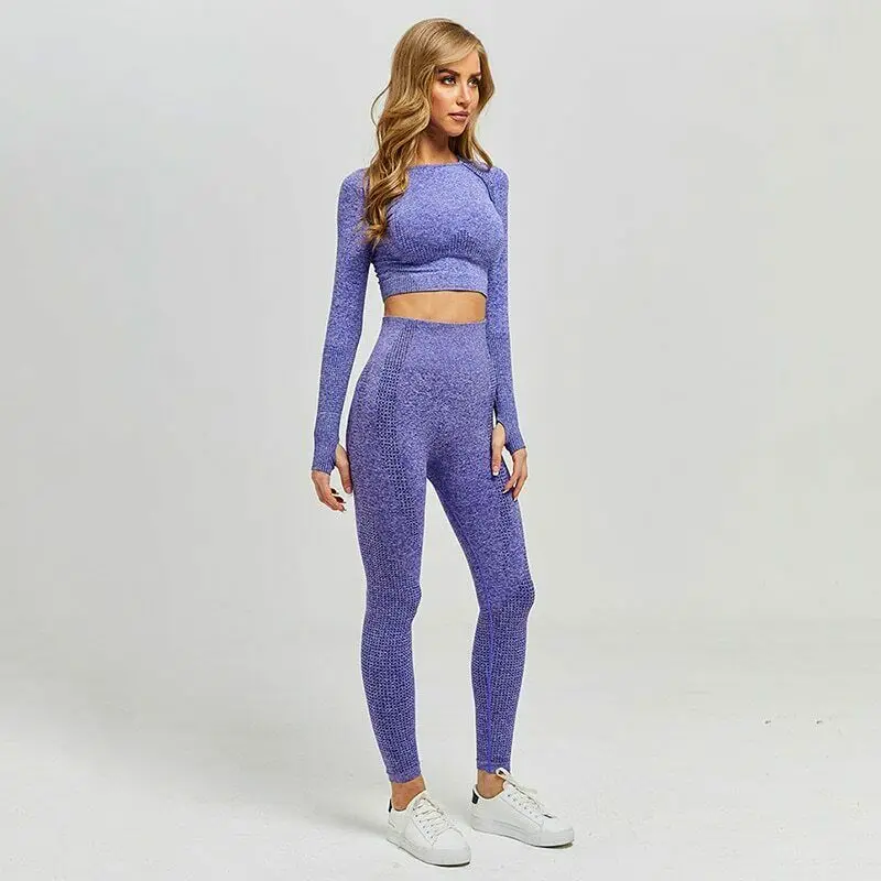 Purple Suit 6 цветов, бесшовный комплект для йоги, спортивный бюстгальтер и леггинсы, женская одежда, комплект для спортзала, одежда для тренировок, одежда для фитнеса, спортивная одежда, спортивный костюм для фитнеса - Цвет: Purple Suit