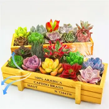 

2Pcs Random ColorSucculent Storage Tray Planter Cute Flower Pots Bonsai Cactus Potted Storage Plate Flowers Containing Box