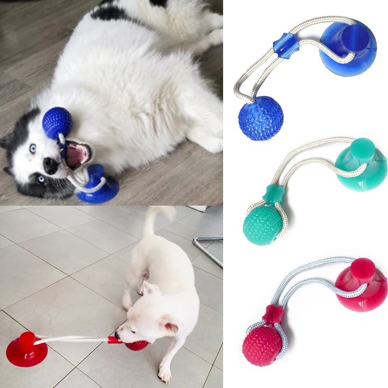 Juguetes de perro interactivo de succión taza de bola goma termoplástica juguetes para mascota o cachorro mordedura Molar juguete elástico cuerdas Limpieza de dientes de perro masticar suministros