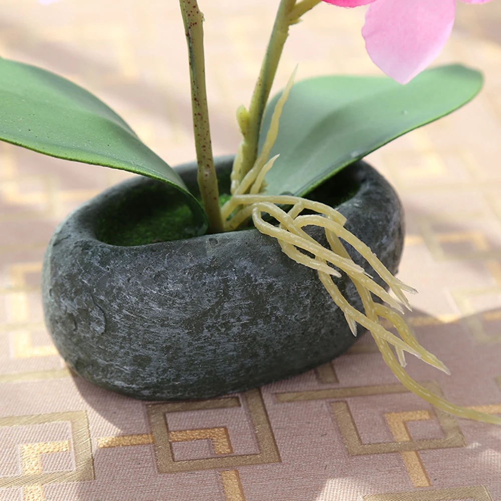 ZZLJ16218-ZZLJ16221-C6