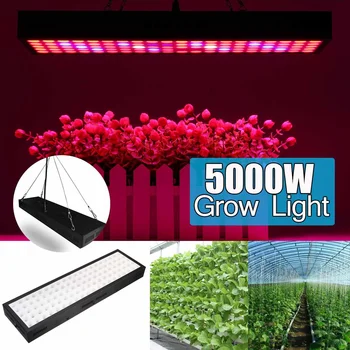 

LED Grow Lights 5000W Full Spectrum Plant Lighting Growing LED Lamp Chandelier for Indoor Veg Flower Hydroponic Plant Lamp
