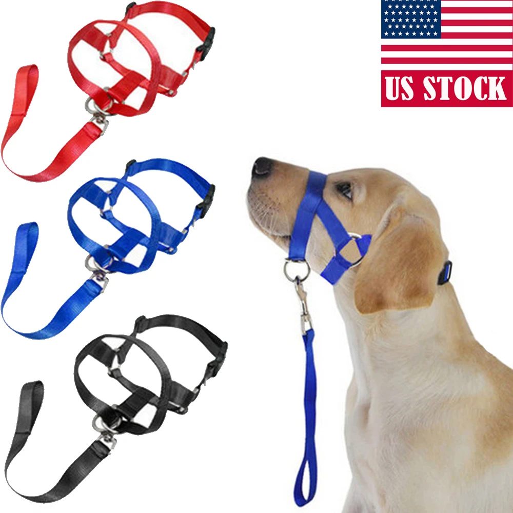 nose leash for dogs