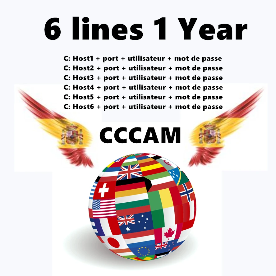 

6 Lines 1 Year Cccam Europe Lines HD AV Cable For Satellite Receiver DVB-S/S2 Openbox V7 V8 Super And Others
