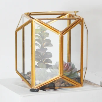 

Copper Sphere Glass Geometric Terrarium Shape Succulent Planter Greenhouse Flow 53CB