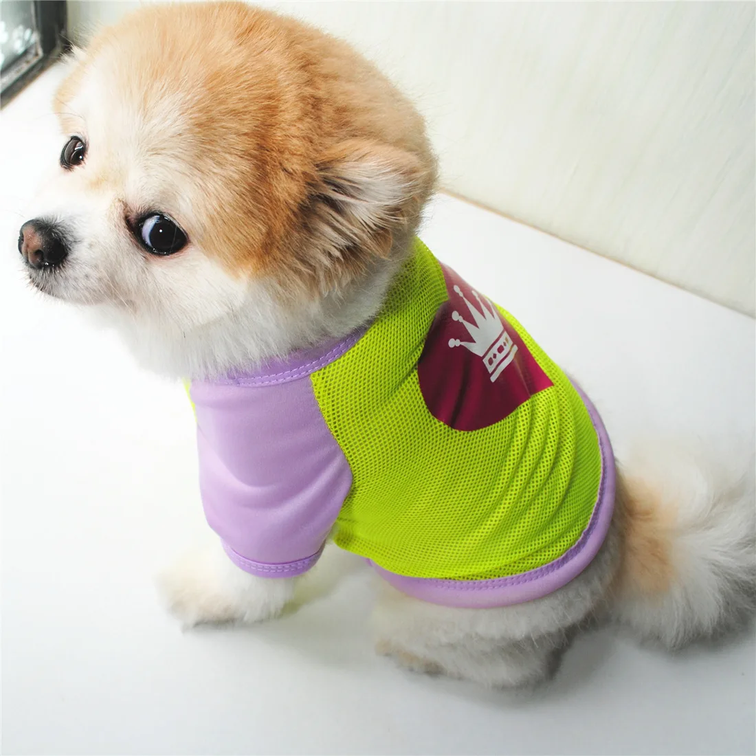 Одежда в летнем и весеннем стиле; Одежда для собак; модная и дышащая сетчатая Солнцезащитная футболка; одежда для маленьких собак