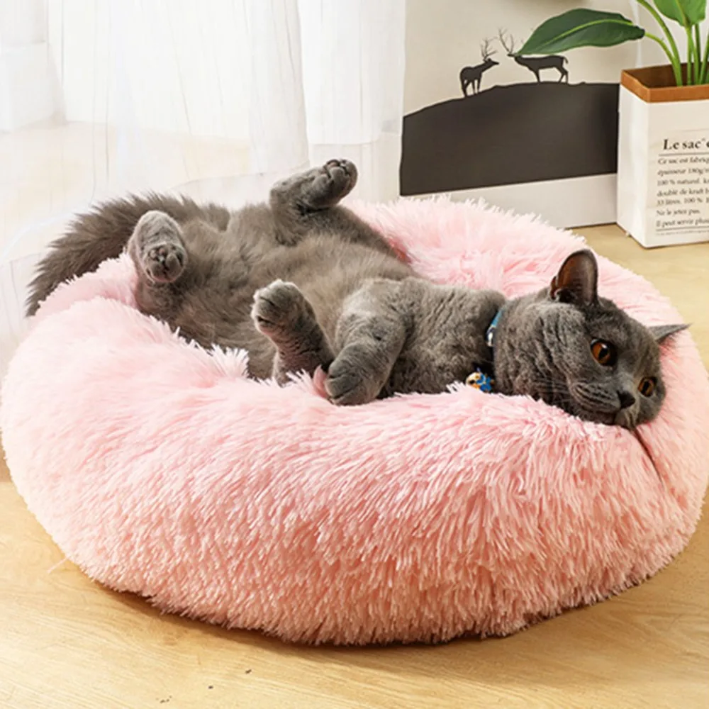 293c939955e86823f4842af79b313715