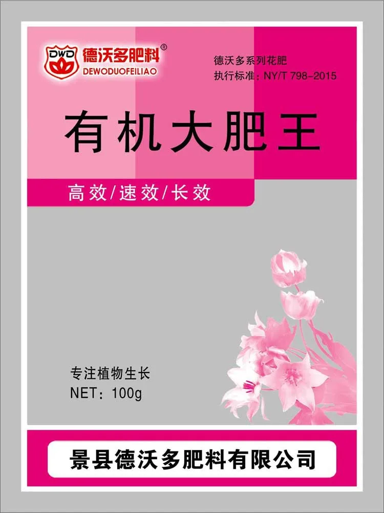 大肥王正面副本