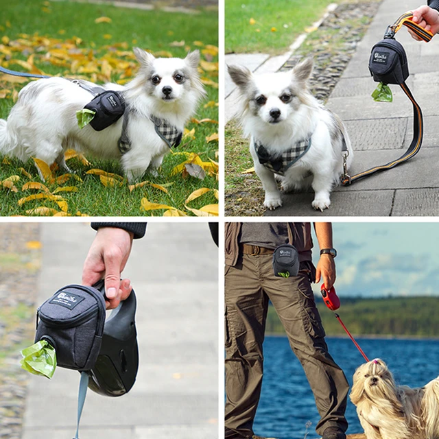  Soporte para bolsas de caca para perros, dispensador de bolsas  de basura para perros con cierre de bucle y clip para perros (sin bolsas de  excrementos de perro) : Productos para