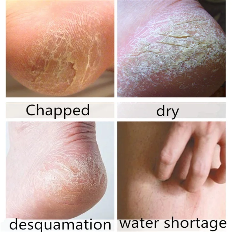 10949600079_751769941