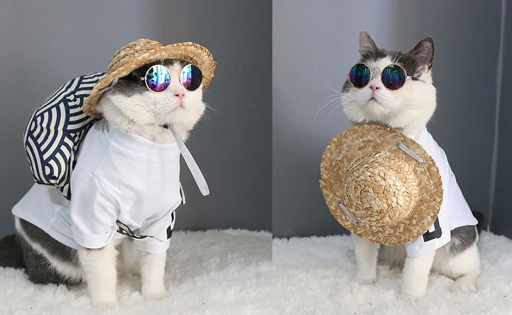 Summer Hawaiian Style Pet Dog Drop Small Cap Hat Sunbonnet Straw Photo Ship Sombrero Outdoor Accessories Props