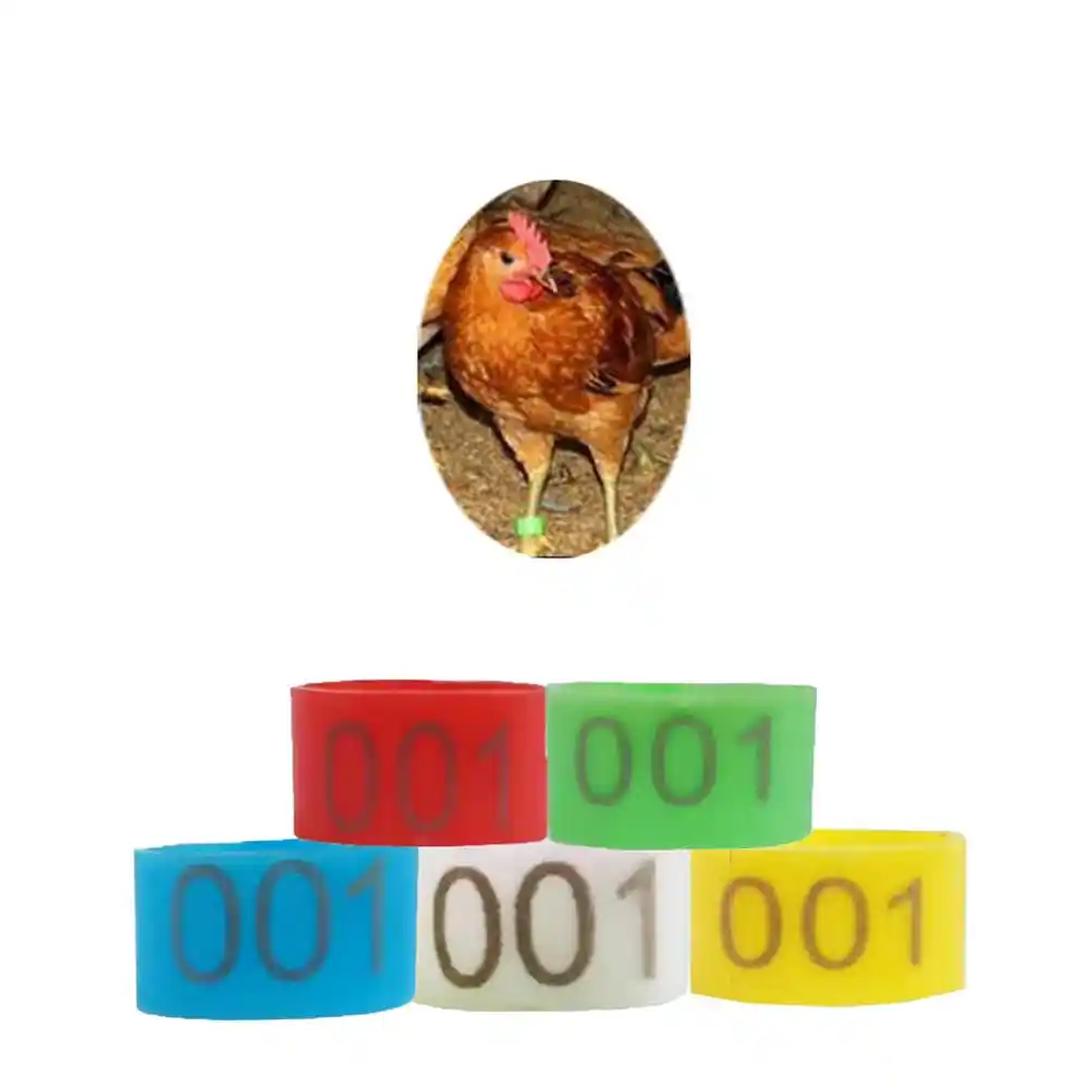 100 pçs 16mm 001-100 numerado plástico aves domésticas galinhas patos ganso perna bandas anéis clip-on aves de capoeira identificação banda 5 cores
