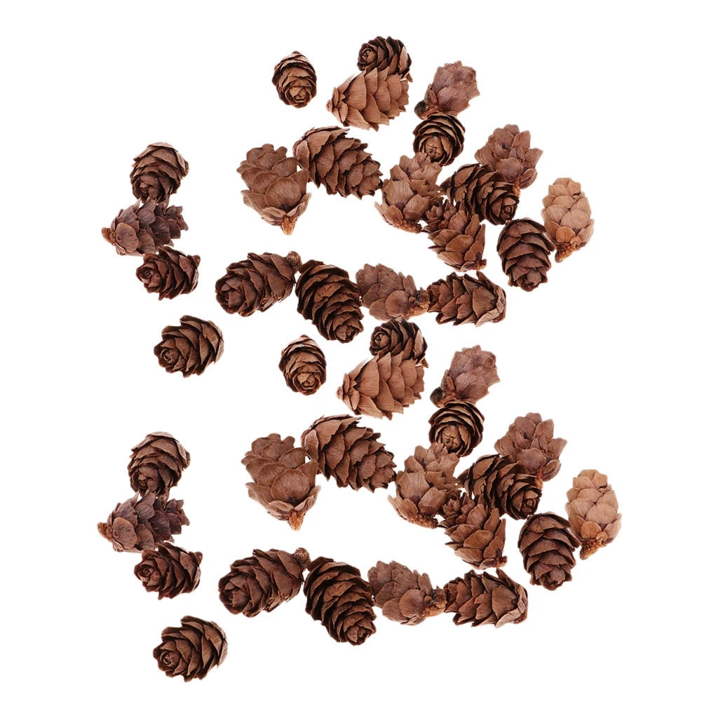 100x Natural Decorative Pine Cone Pinecone For Christmas Ornament Craft 100x Natural Decorative Pine Cone Pinecone For Christmas Ornament Craft