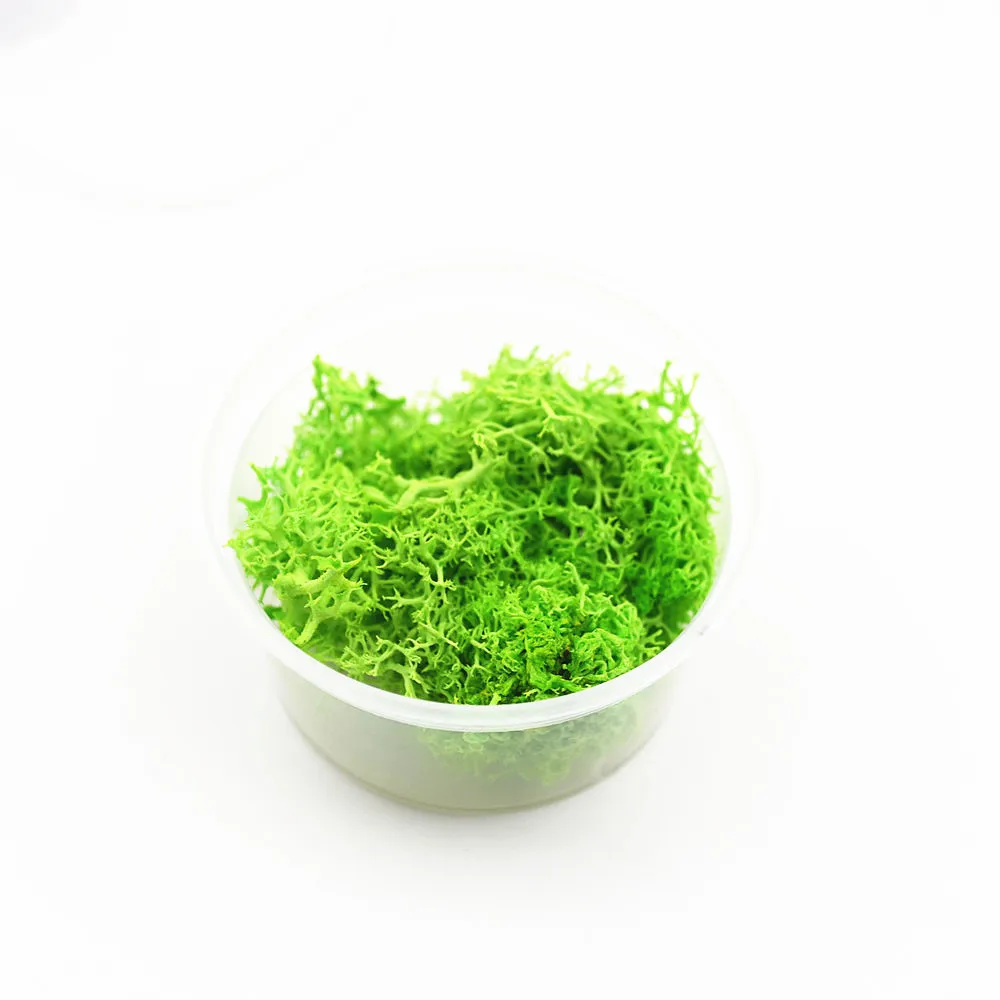 green 1 коробка 2-2,5 грамм серьги цвета мха из натурального агата microlandschaft наполнитель для стеклянного глобуса силиконовая форма DIY ювелирных изделий ремесло materia - Цвет: green
