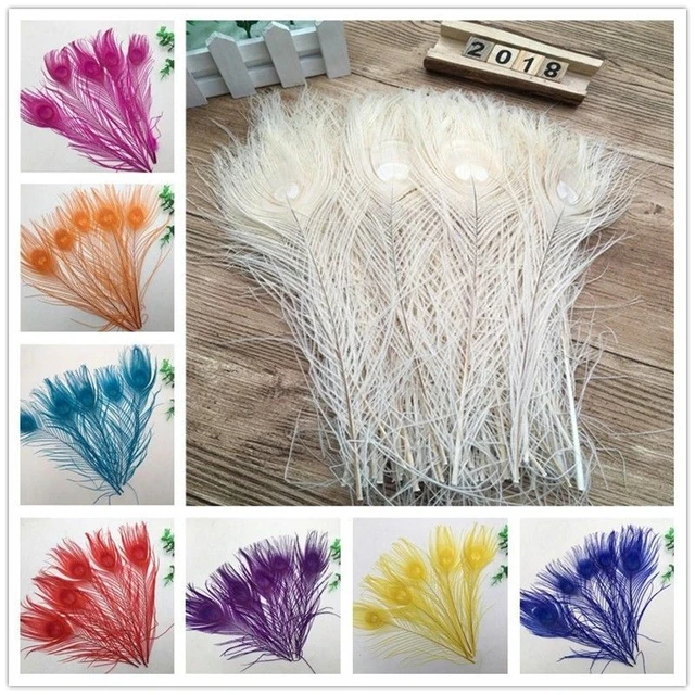 10Pcs/lot Dyeing Peacock Feathers For Crafts Length 30-35CM 12-14inch  Peacock Feather Diy Jewelry Decorative Pheasant Feathers - AliExpress