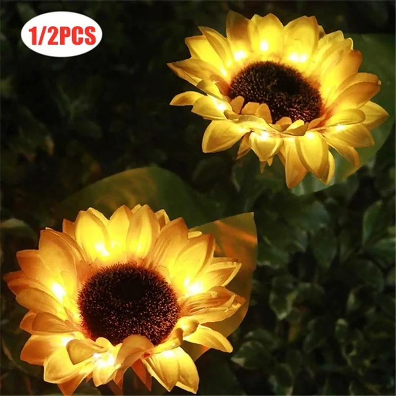 5eb667a919a17a4c717e7c05-original