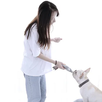 

Cat Corrugated Scratch Board Pad Grinding Nails Interactive Toy Protecting Furniture Cat Toy Scratcher Cats Claws Care Toy