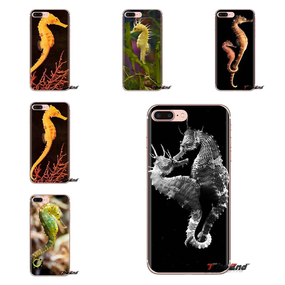 Прозрачные чехлы из ТПУ с изображением морской лошади и радуги для Huawei G7 G8 P7 P8 P9 P10