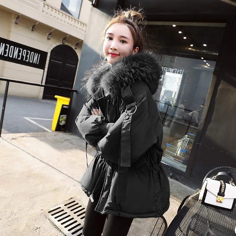 Large Fur Collar down Jacket Women's Short Winter New Style Korean-style Loose-Fit Waist Hugging Short-height Thick-Style F