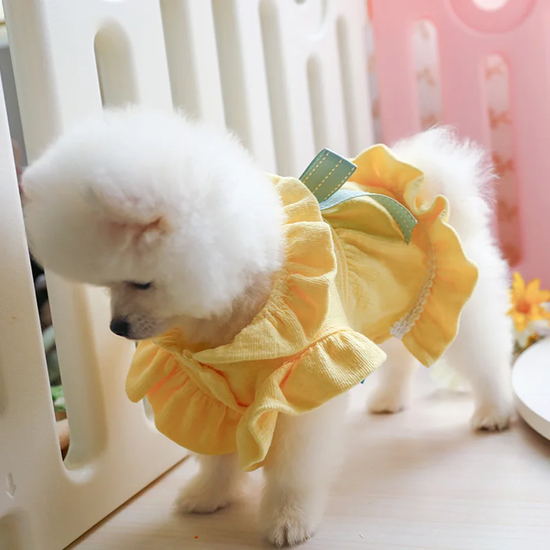 黄色蝴蝶结裙_7430